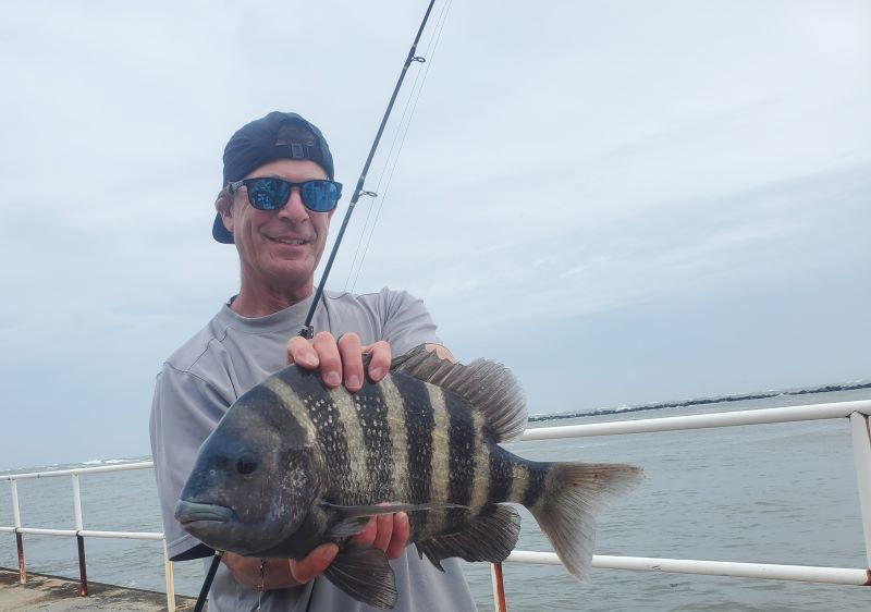 sheepshead caught at the jetty