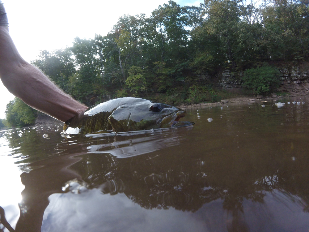 smallmouth bass fishing