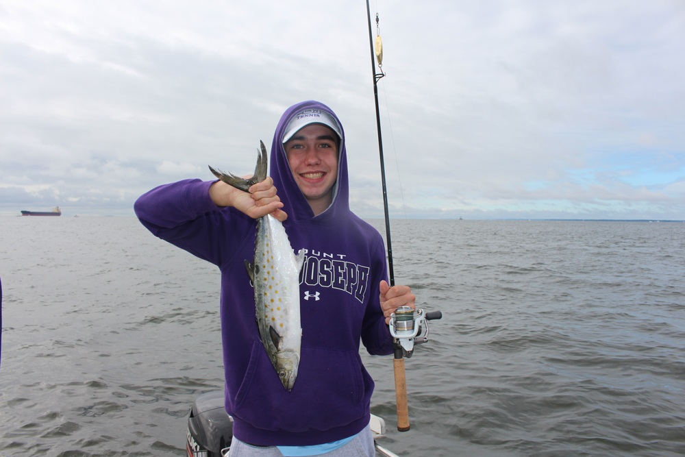 spanish mackerel fishing