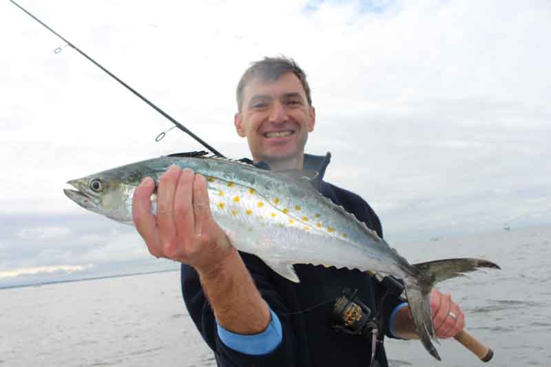 jigging spanish mackerel