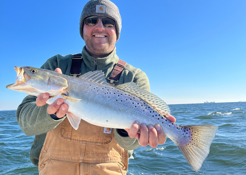 speckled trout