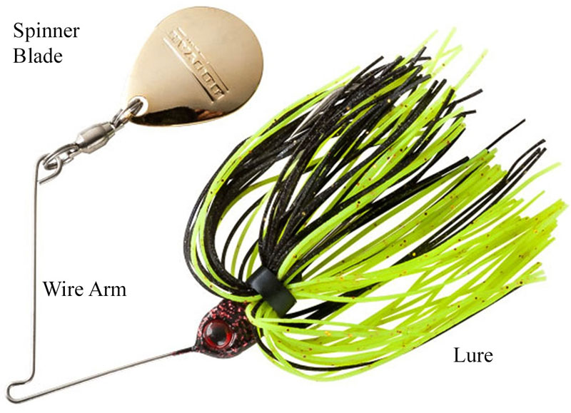 spinnerbait fishing lure