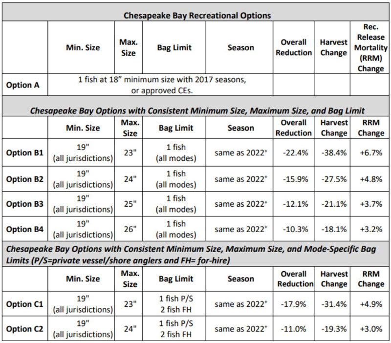 options for striped bass chesapeake bay regulations