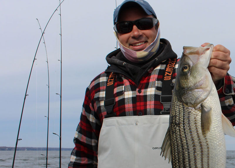 nice fall striper