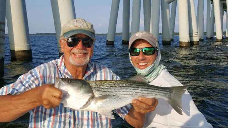 striper at the bridges