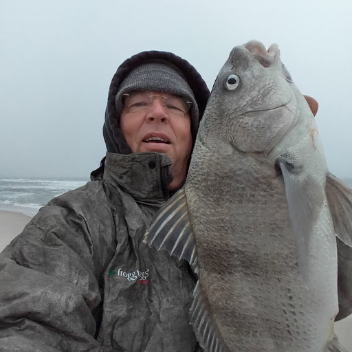 black drum on assateague island