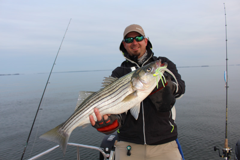 striper zach caught