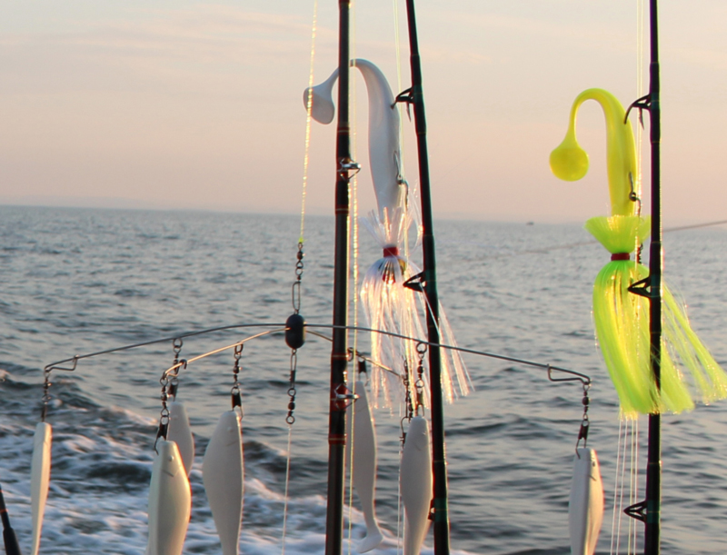 rockfish trolling gear