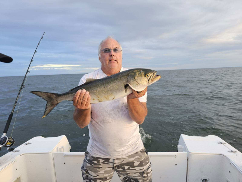 tangier sound bluefish