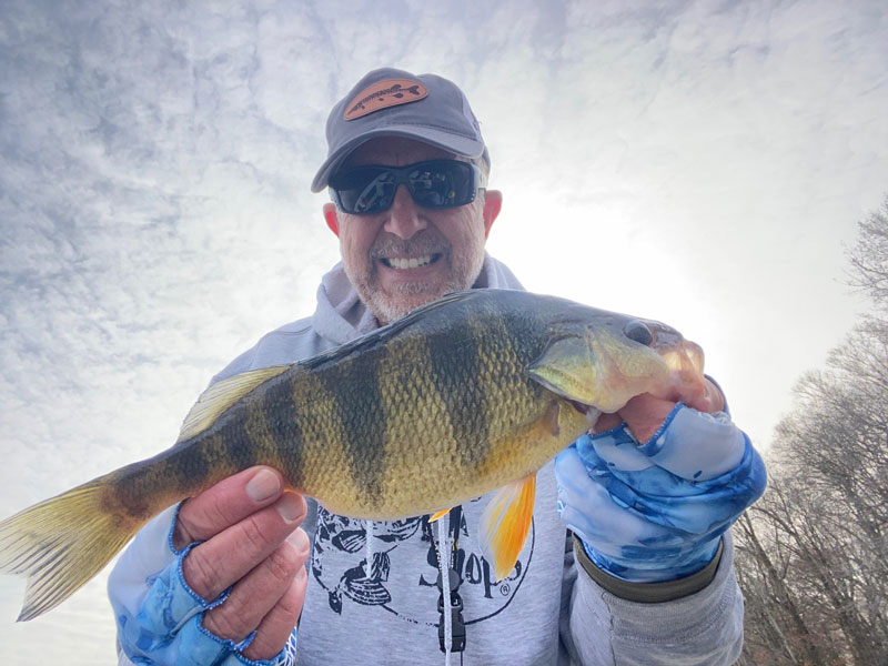 yellow perch from the shore