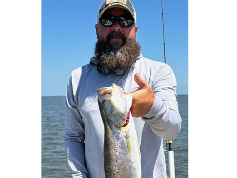 tangier sound speckled trout