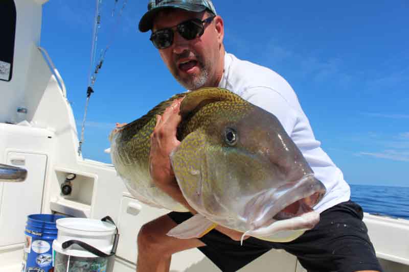 golden tilefish