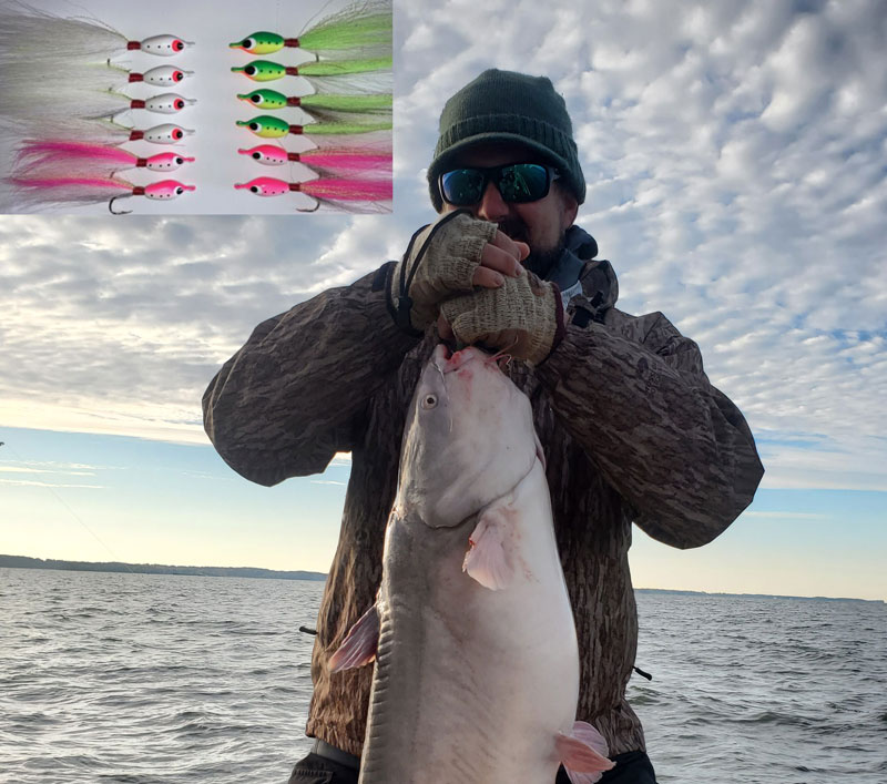 big blue catfish on tinman lures