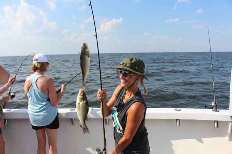 catching perch on a charter