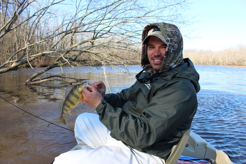 yellow perch fishing