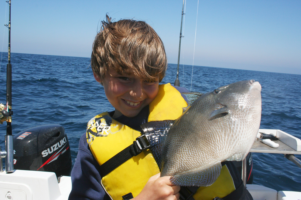 triggerfish fishing