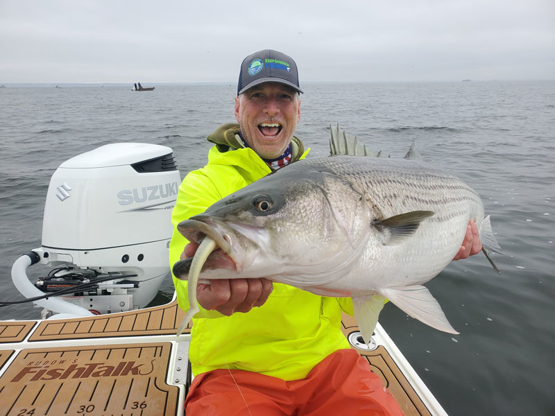 trophy rockfish striped bass