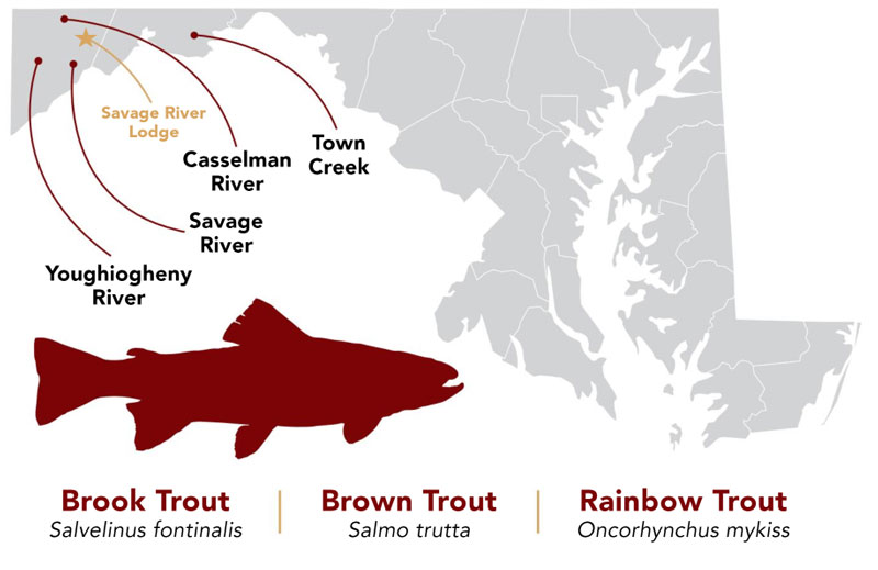 trout fishing hotspots