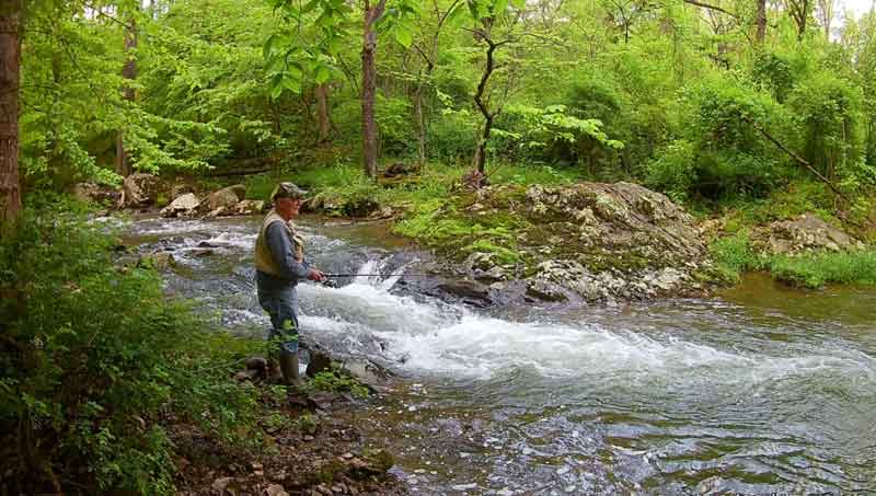 fly fishing for trout