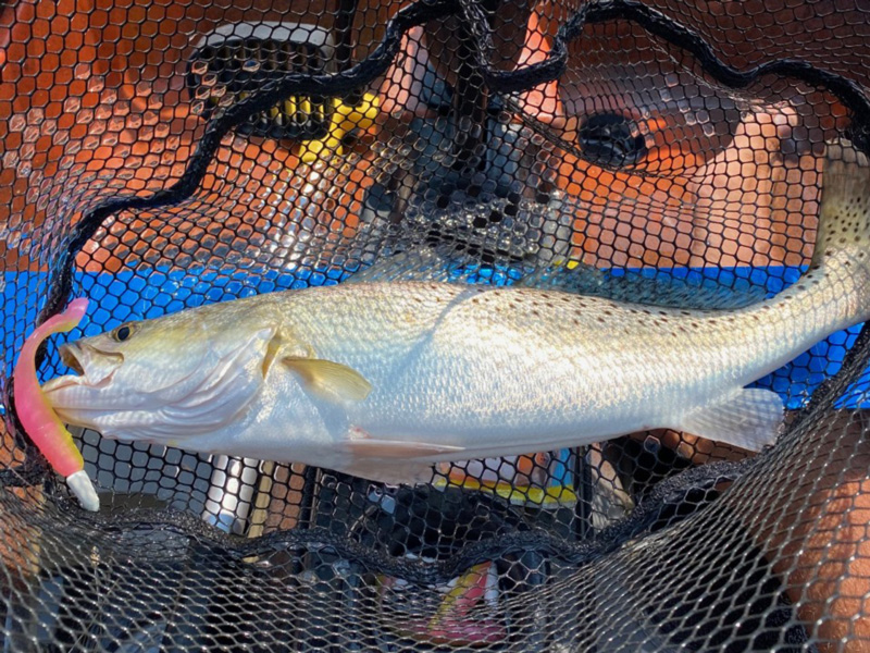 fish in a kayak