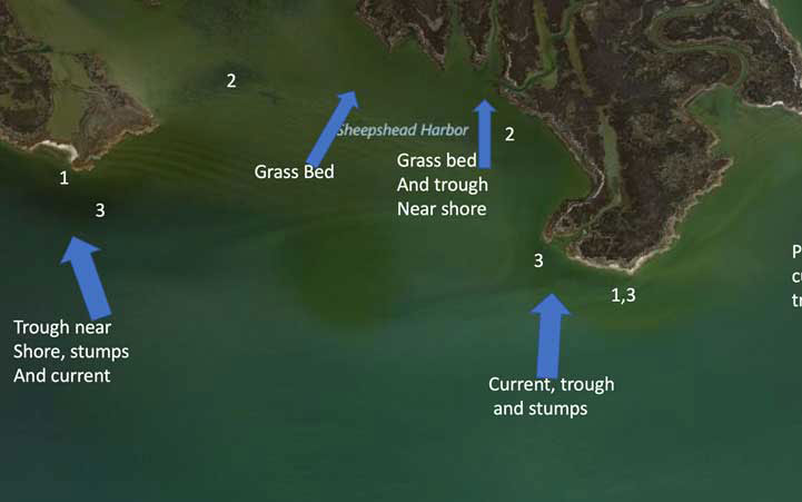 map of likely speckled trout spots