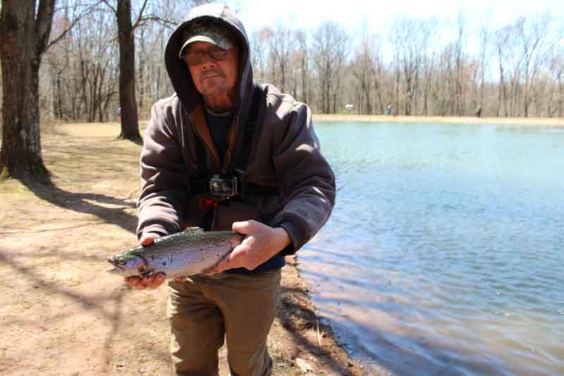 stocked rainbow trout