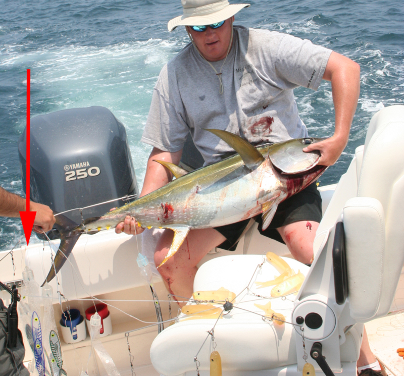 offshore fishing tip for dredges