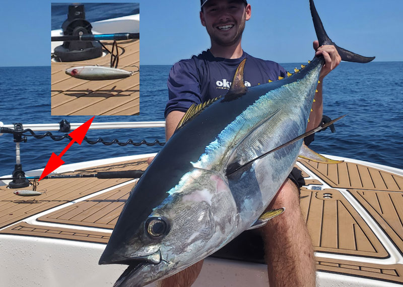 fishing for tuna with topwater lures