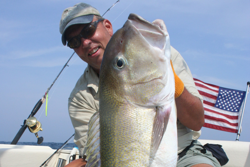 golden tilefish caught by john unkart