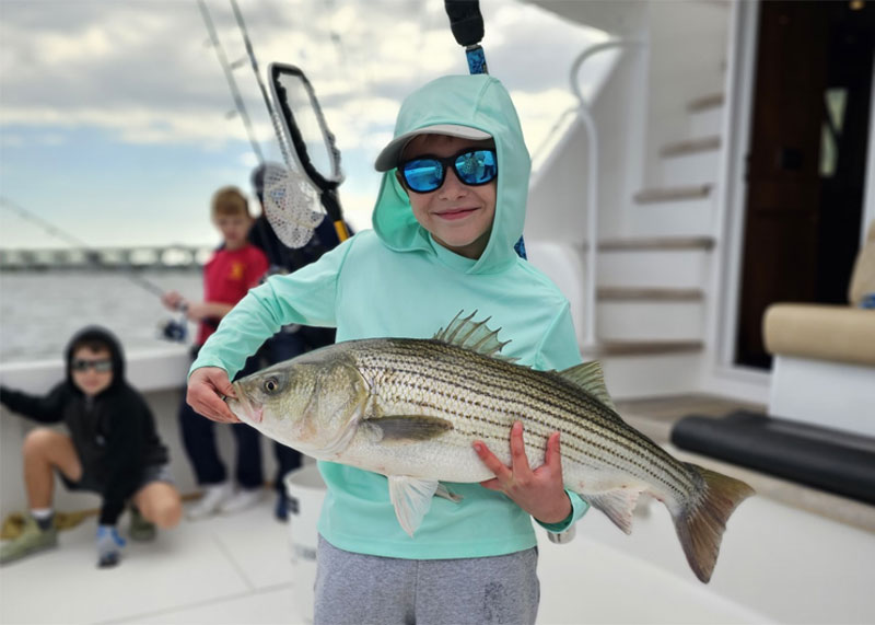 sewer pipe rockfish