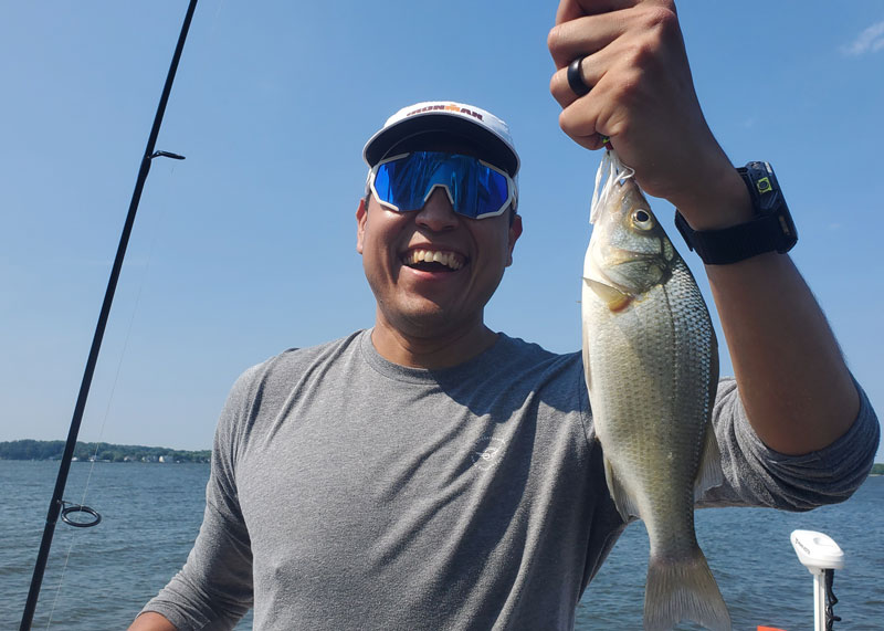 white perch fishing in the chesapeake bay