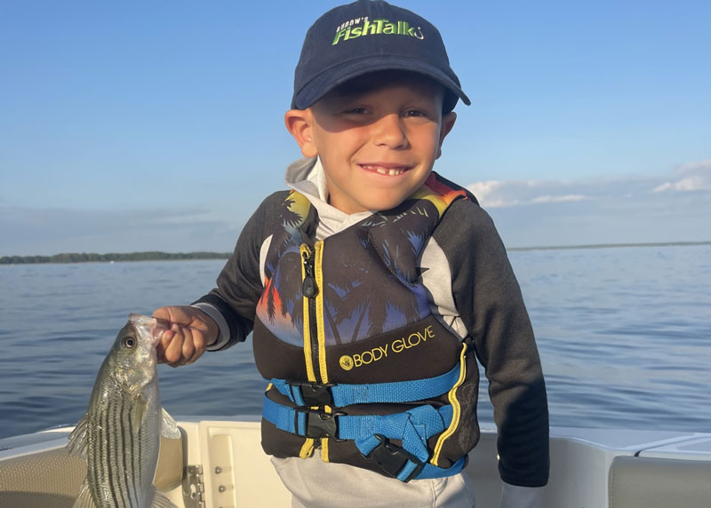 upper bay rock fish