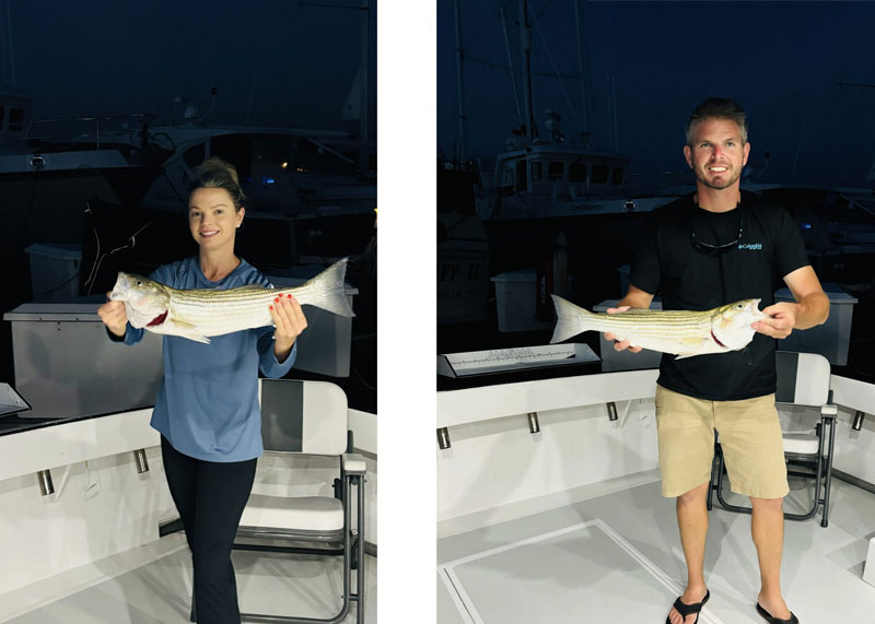 upper bay rockfish night fishing