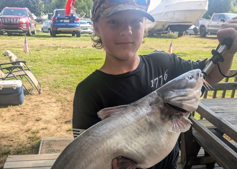 upper chesapeake catfish are biting