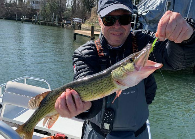 magothy river pickerel