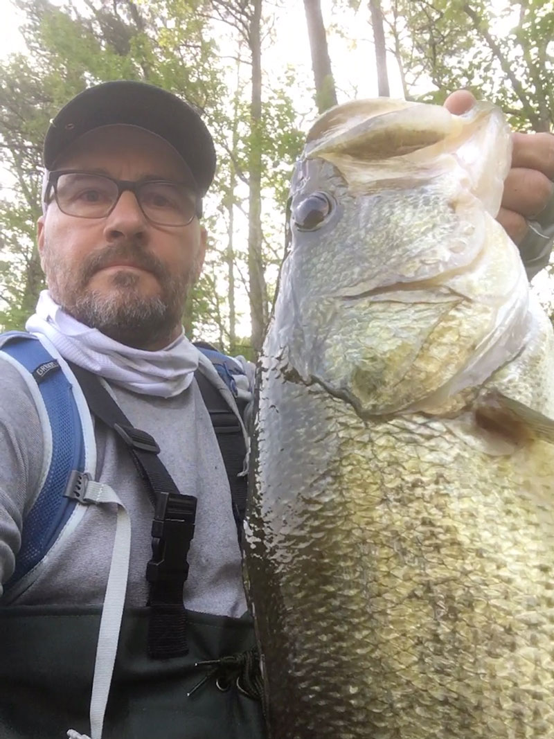 wade fishing for largemouth bass