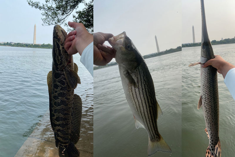 fishing in washington dc