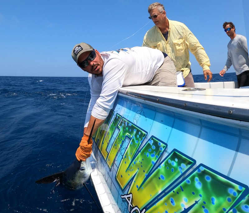 angler with white marlin