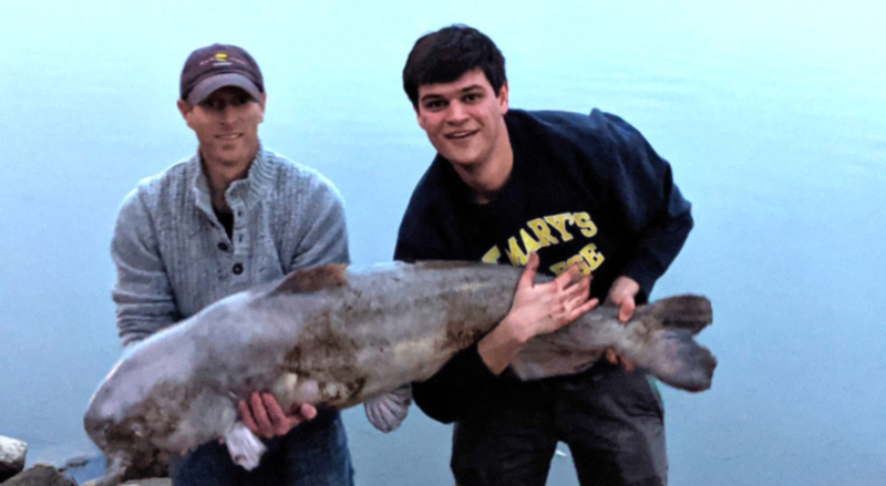 monster winter catfish