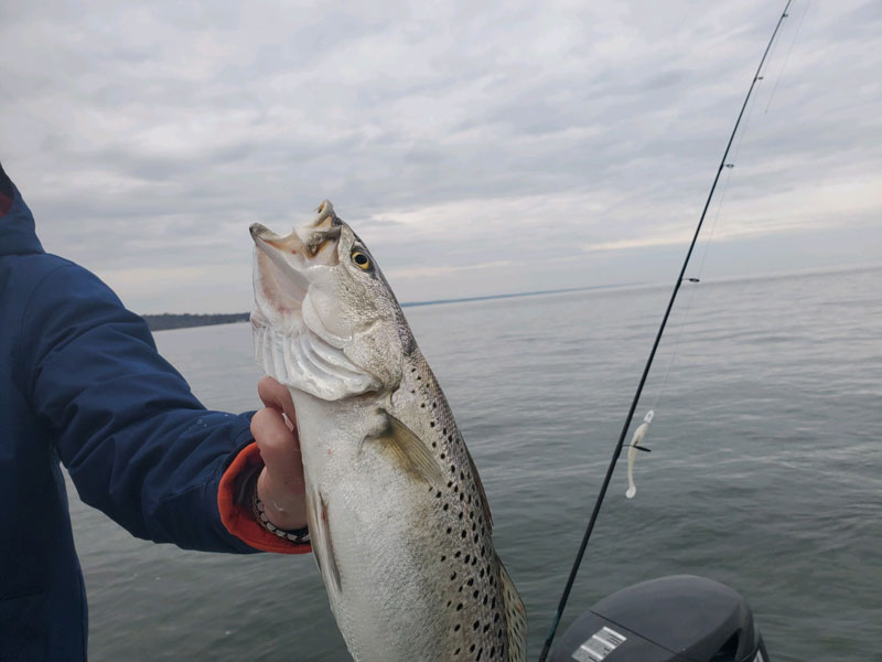 winter specks in the bay