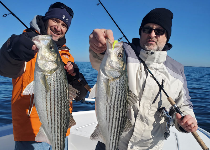 fishing for striped bass in winter