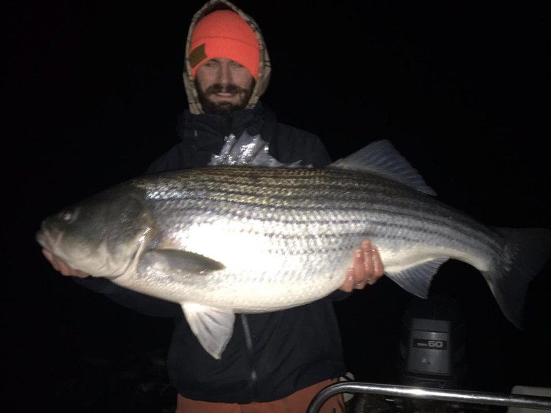 winter striper caught night fishing