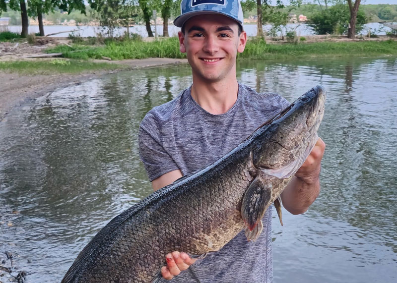 monster snakehead fish caught in the chesapeake