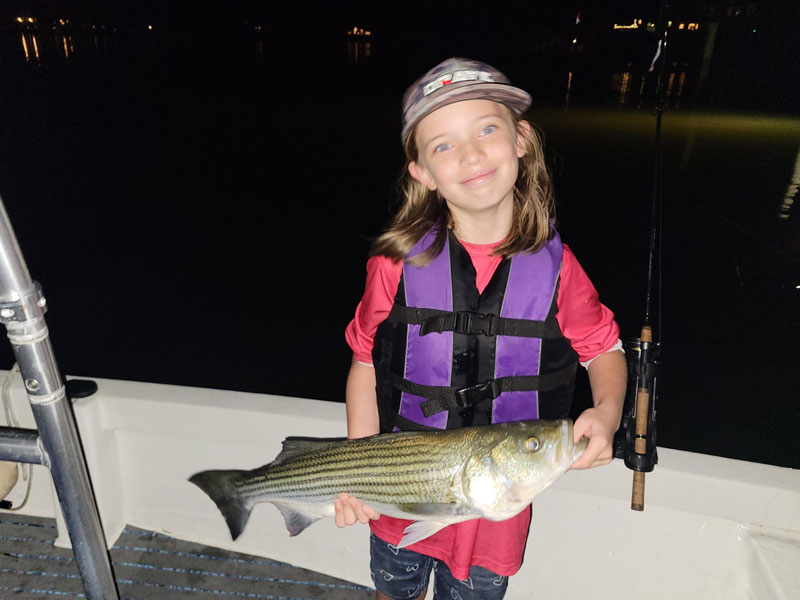 big catfish caught in the bay