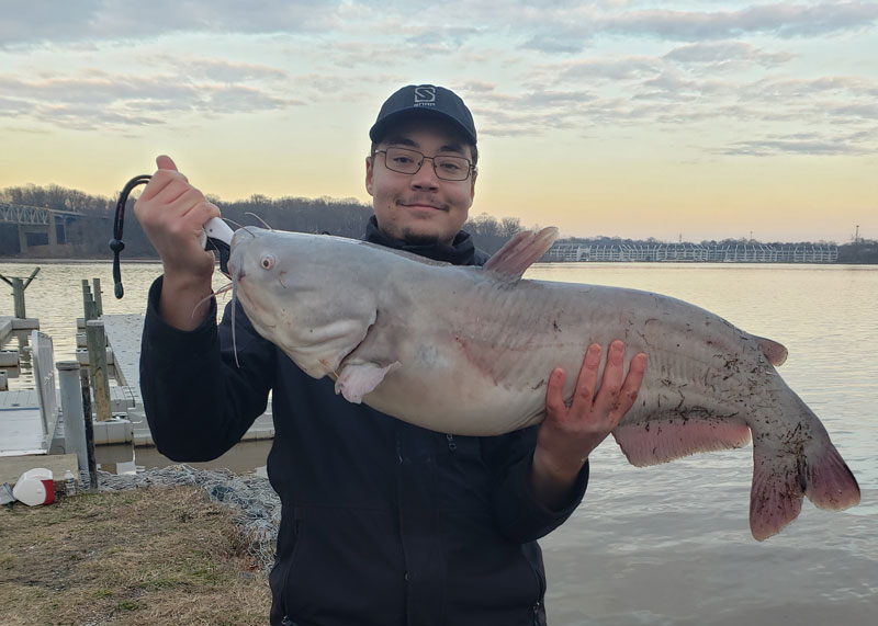 big blue catfish in the susquehanna