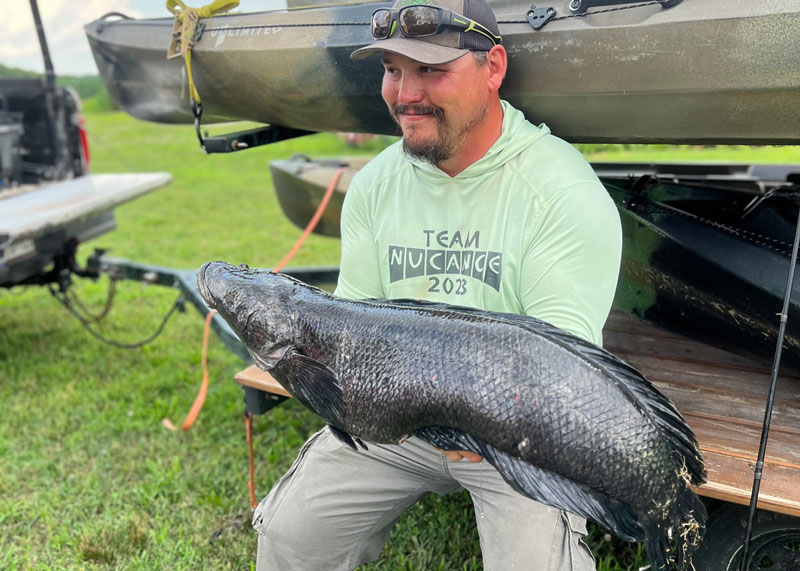 world record snakehead fish