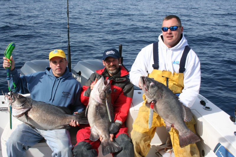 anglers bottom fishing for wreckfish