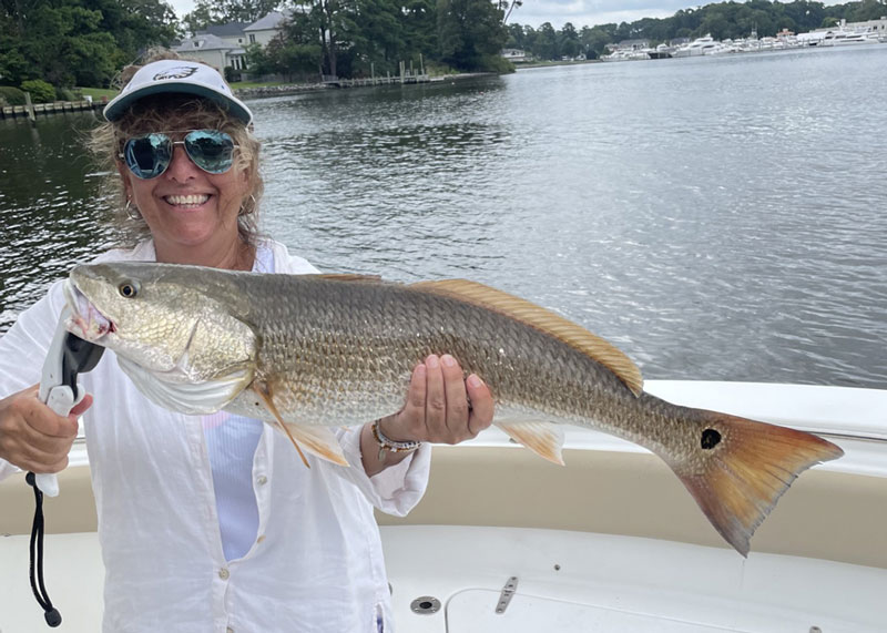 redfish in virginia beach