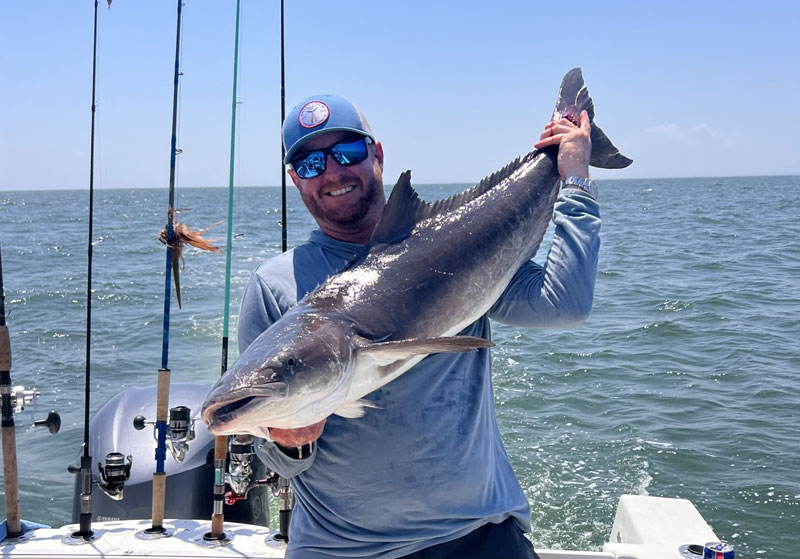 cobia at the chespeake bay bridge tunnel