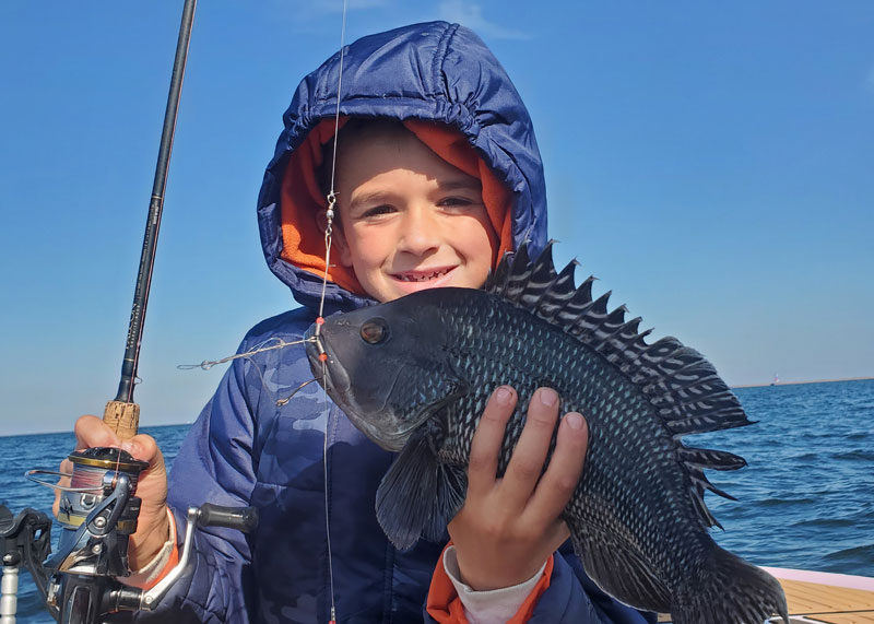 winter black sea bass season in virginia opening